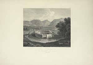 Ynca-Chungana, from the Garden of the Inca near Canar, drawn by Gmelin, engraved by Morel, illustration from 