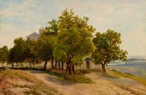 Group of Trees on the Kahlenberg with View of Vienna by Friedrich Loos