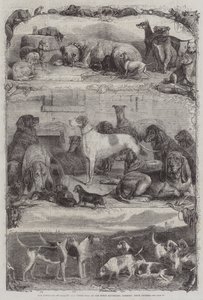 The Exhibition of Sporting and other Dogs at the Horse Repository, Holborn, Prize Animals by Friedrich Wilhelm Keyl