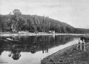 Cliefden Woods, c1896 by Frith and Co