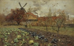 View of Amerikavej in Copenhagen