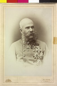 Franz Joseph I by Fritz Luckhardt