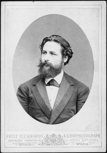 Portrait of the Pianist and Composer Heinrich Karl Johann Hofmann 1842-1902
