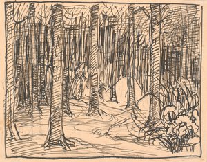 Deep in the Forest the Roads Crossed...