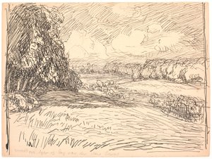 Around Field and Meadow Were Great Forests