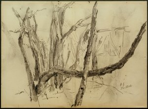 Branches