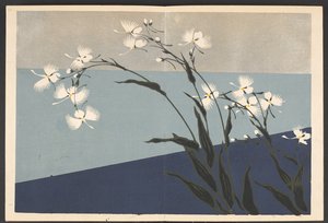 Patterns of plants and flowers from life by Furuya Korin