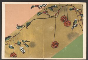 Patterns of plants and flowers from life by Furuya Korin