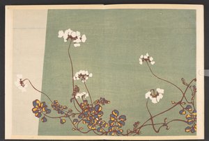 Patterns of Plants and Flowers from Life by Furuya Korin
