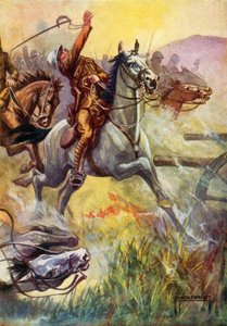 Illustration for Black Beauty