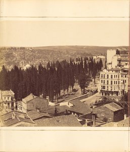 Plate 13 by G. Berggren