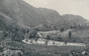A Scottish Glen