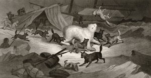 Bear Hunt, engraved by J.C. McRea, from 
