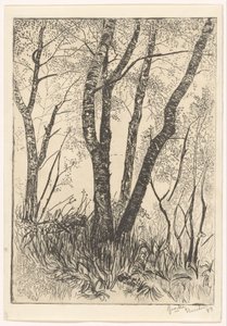 Trees in Tall Grass by G. van der Mey (signed by artist)