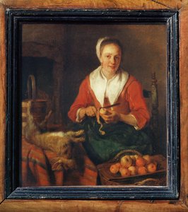 The apple-peeler