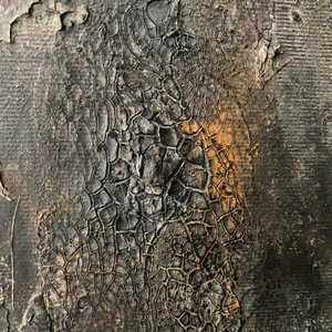 Cracked Earth Texture