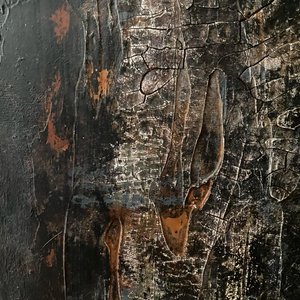 Cracked Organic Texture