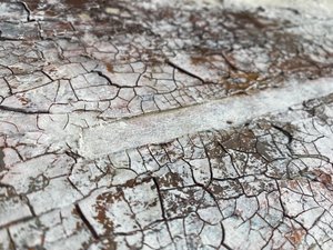 Cracked White Surface