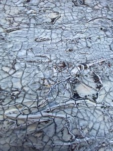 Cracked White Texture