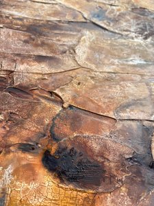 Golden Cracked Earth