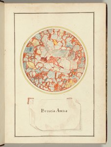 Breccia Antica, from Various Stone Types, Italy by Gaetano Piccini