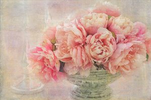 Romantic Pink Peonies by Gaille Gray