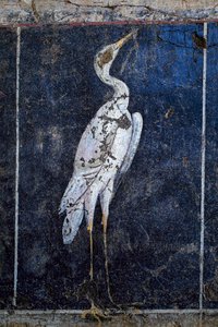 Roman Wall-Painting
