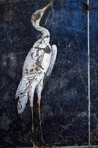 Roman Wall-Painting