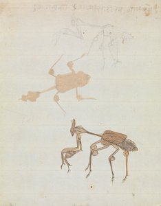 Praying Mantis by Gangaram Chintaman Tambat