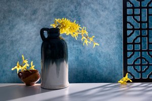 Elegant Forsythia Still Life by GaoSL