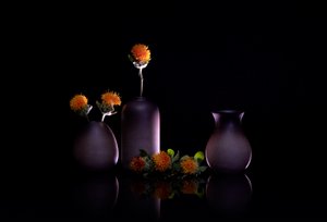 Orange Flowers Still Life by GaoSL