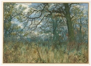 Trees and Undergrowth by Garden William Fraser