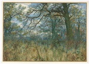 Trees and Undergrowth, 1885 by Garden William Fraser