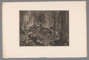 Forest Landscape