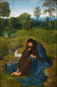 John the Baptist in the Wilderness
