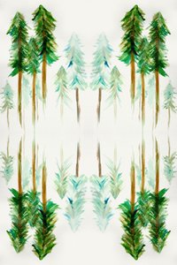 Mirrored Pine Forest by Gemma Bardot