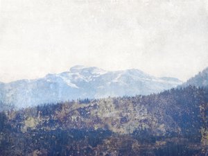 Misty Mountain Forest