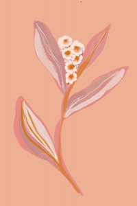 Peach Floral Bloom