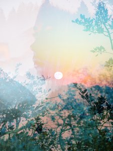 Serene Nature Profile