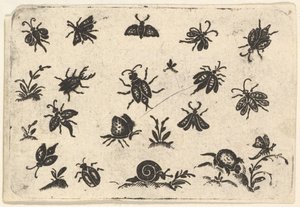 Small Motifs of Insects and Plants by Georg Herman
