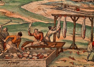 Tuna processing, scene from Civitates Orbis Terrarum