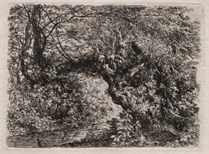 The Old Willow at a Brook by Georg von Dillis