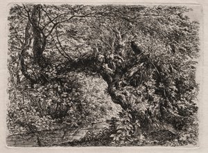 The Old Willow at a Brook, 1794 by Georg von Dillis