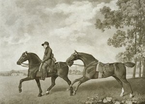 Two Hacks (engraved by George Townley Stubbs)