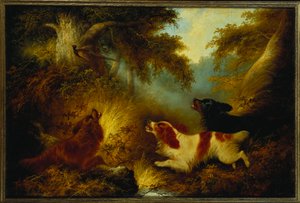 Spaniels Putting Up a Pheasant by George Armfield