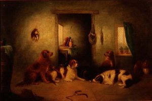 The Kitchen Dogs