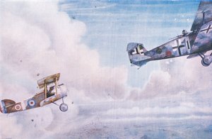 An Aerial duel: The Blind Spot, from Cassell