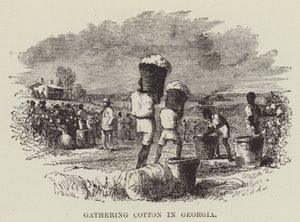 Gathering Cotton in Georgia by George Augustus Sala