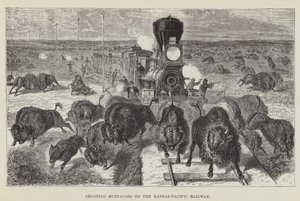 Shooting Buffaloes on the Kansas-Pacific Railway by George Augustus Sala