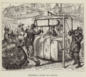 Weighing Bales of Cotton